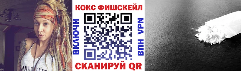 Купить закладки  Сурск  Cocaine Эквадор 