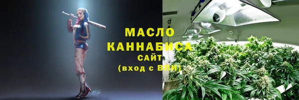 хмурый Арсеньев