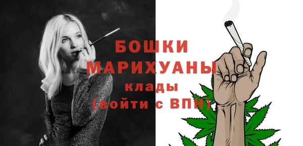 хмурый Арсеньев