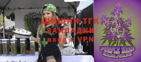 хмурый Арсеньев