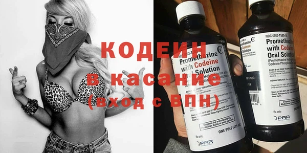 хмурый Арсеньев