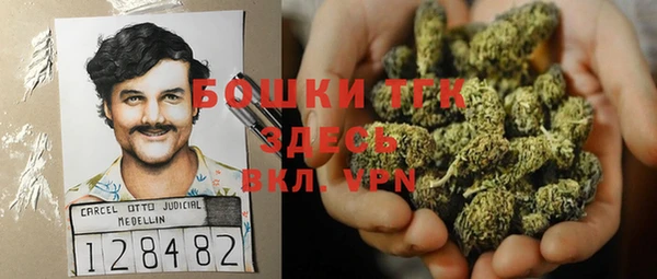 твердый Аркадак